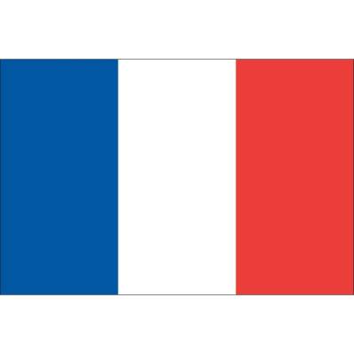 Drapeau France - achat en ligne