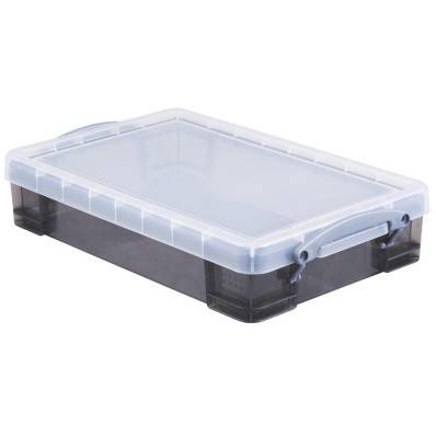 Whitefurze Carry Box boîte de rangement 5 litres, transparent avec poignées  bleu