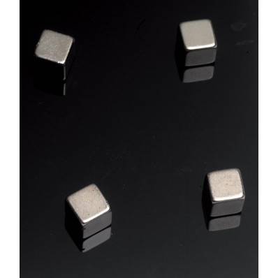 Onzeker Wie trainer Naga magneet voor glasborden, ft 10 x 10 x 10 mm, 4 stuks