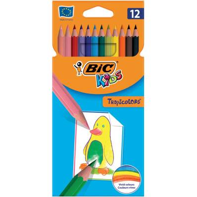 12 feutres de coloriage Bic Kids couleur - Stylos feutres