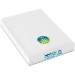 Clairefontaine Trophe Ream of paper 500 sheets A4 80g Assorted Fluo - Ream  of paper - LDLC