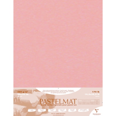 Papier pastels secs Clairefontaine 360g/m² - Papier Pastelmat