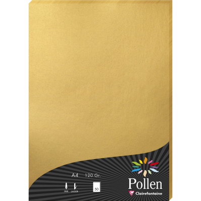 Papier Clairefontaine Pollen Violine 120g A4 - 50 Feuilles pour