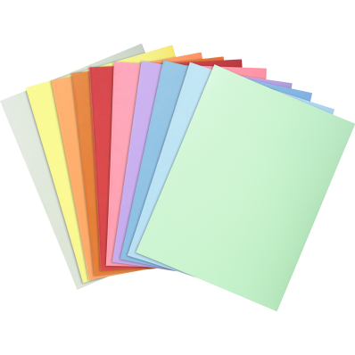 Paquet de 100 chemises dossier 160 g, peau, 24x32 cm couleurs assorties