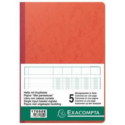Exacompta - Piqûre 21x19cm recettes-dépenses 80 pages - Couleurs