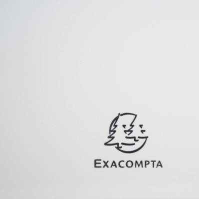 EXACOMPTA Protège-documents à anneaux et pochettes détachables 60