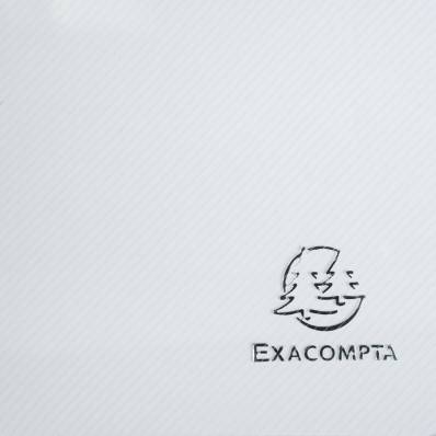 EXACOMPTA Pochettes amovibles pour protège-documents A4 Exactive