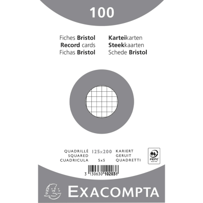 Exacompta - Paquet 100 fiches sous film - bristol quadrillé 5x5 perforé -  148x210mm - Couleurs assorties