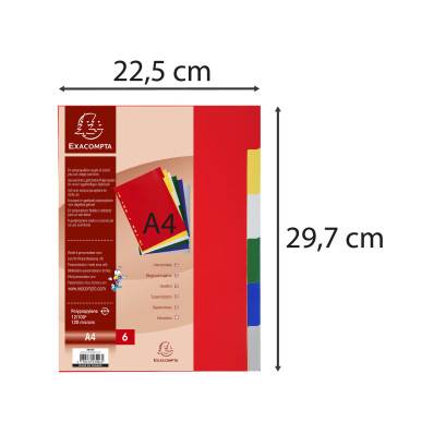 Exacompta - Intercalaires carte 220g 12 positions - A4 maxi - Couleurs  assorties