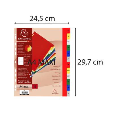 Intercalaires imprimés mensuel PP couleurs 12/100e - 12 positions - A4+/ Pce